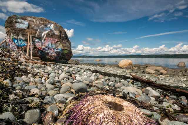 best fishing pier in Vancouver Island